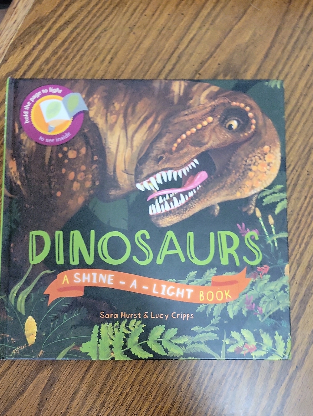 Dinosaurs, Shine a Light Book